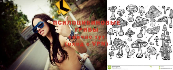 стаф Абдулино